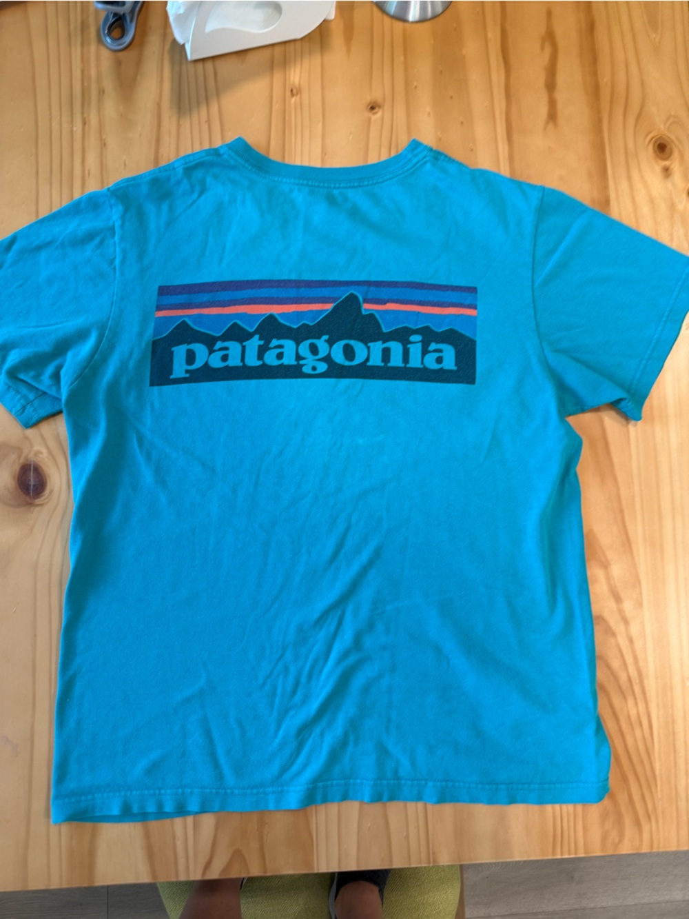 Patagonia Men’s Turquoise Logo Short Sleeve Tee